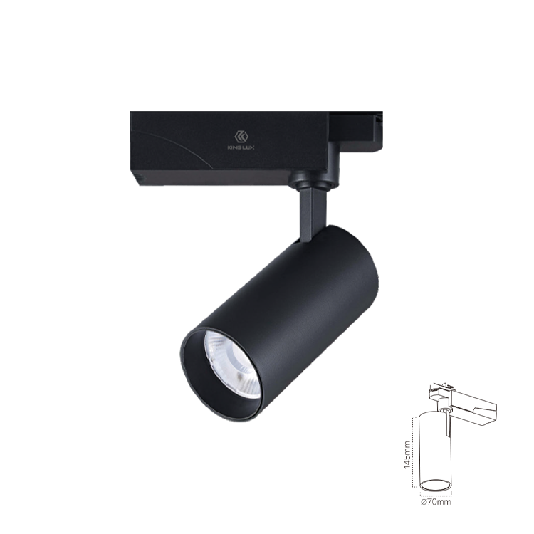 Đèn chiếu rọi ray-F2 30W, Màu đen