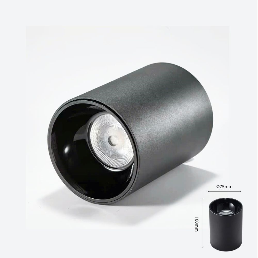 Đèn bơ chiếu rọi 10W, vỏ đen, ánh sáng đơn sắc